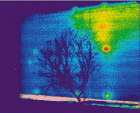 Thermografieaufnahme